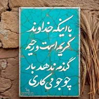 سیم کارت زوج