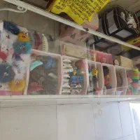 فروش میز وویترین واتاق پرو و مانکن های زنانه|فروشگاه و مغازه|نجف‌آباد, شهدای غربی|دیوار