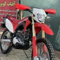 باسل (توسن) ۲۵۰