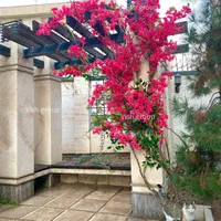 درختچه شکوفه مصنوعی|گل مصنوعی|تهران, میدان ولیعصر|دیوار