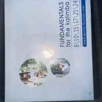 کالیمبا جکو مدل K17CA|پیانو، کیبورد، آکاردئون|اندیشه, اندیشه فاز ۳|دیوار