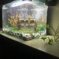 آکواریوم شیشه خم