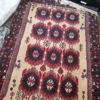 دو عدد قالی خودمونی بفروش میرسد|فرش|سیرجان, |دیوار