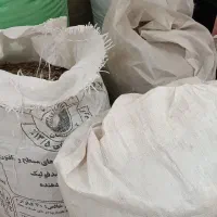 کود|گل و گیاه طبیعی|رفسنجان, |دیوار
