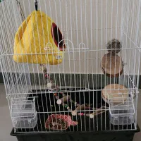 قفس پرنده و...