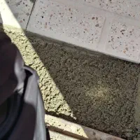 ماسه و سپر  جلو ساینا اس