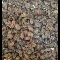 کشمش افتاب خشک ، جریانی|خوردنی و آشامیدنی|خرمشهر, |دیوار