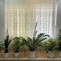 پرده پزیرایی