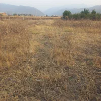 یک عددزمین باقیمت خوب بفروش میرسد