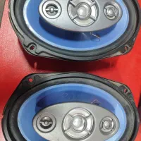 باند پایونیر ، پایونر 6981s