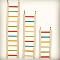 آشیانه چوبی مخصوص عروس هلندی - عمده و تکی|لوازم جانبی حیوانات|اصفهان, قائمیه|دیوار