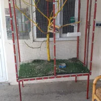 قفس|لوازم جانبی حیوانات|طارم, |دیوار