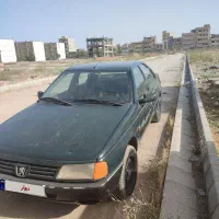 پژو آر دی (RD) دوگانه سوز CNG، مدل ۱۳۸۴