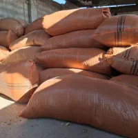 کاه ماش کاه سفید