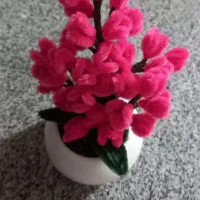 گل مخملی|گل مصنوعی|سنندج, |دیوار