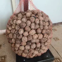 گردو محلی شهرستان بافت کیلویی  800ت