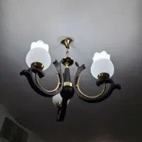 فروش دو عدد لوستر|لوستر و چراغ آویز|شیراز, نصر|دیوار