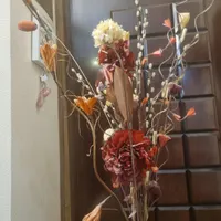 گل خشک شده