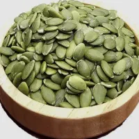 مغز تخم کدو