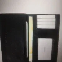 مدارک گمشده به نام محمود بزرگی