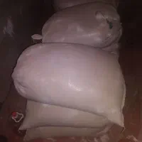 گندم‌تخم‌سم‌زده