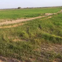 اجاره-زمین-کشاورزی-کنار-آب
