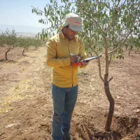 نجات باغ شما با گیاه‌پزشک متخصص