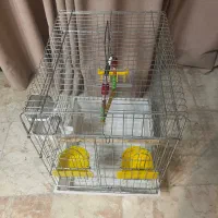 قفس پرنده