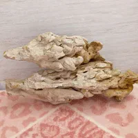 سنگ تزیینی آکواریوم