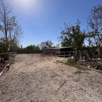 باشگاه سوارکاری در کردان جهت اجاره