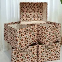 باکس اسکلت دار و ساک پیک نیک برزنتی تاشو