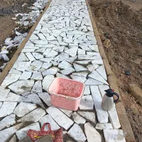 کاریابی|خدمات پیشه و مهارت|عسلویه, |دیوار