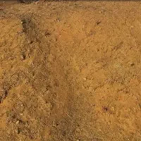 کود گوسفندی
