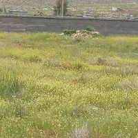 باغ-شهری-اقساط-بلند-مدت-معاوضه-با-خودرو