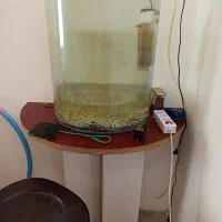 اکواریوم