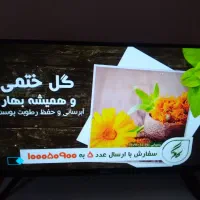 تلویزیون 32هوشمند|تلویزیون و پروژکتور|سهند, |دیوار