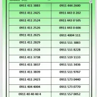 0911-258-1494