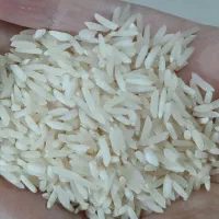 فروش برنج محلی دره شهر