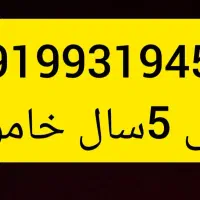 خط ۹۱۹ دائمی ۵سال خاموش