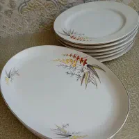 چینی گل قرمز|ظروف سرو و پذیرایی|نجفآباد, گلدشت|دیوار