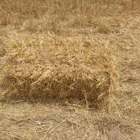 عدل کاه گندم پرس