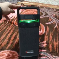 اسپیکر اصلی بکارو