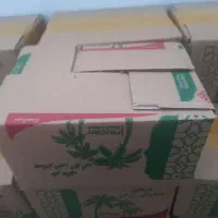 خرما