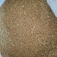 فروش مواد غذایی دام وطیور