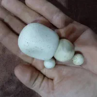 سنگ های مختلف|جواهرات|خوی, |دیوار