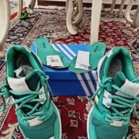 zx آف اسپیرینگ