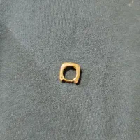 گوشواره پیدا شده