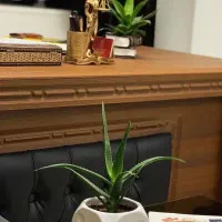 وکیل پایه یک دادگستری و مشاور حقوقی گیلان