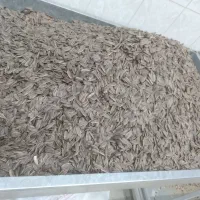 اجیل تخمه سنتی|خوردنی و آشامیدنی|یزد, |دیوار