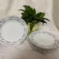 پیش دستی و پیاله